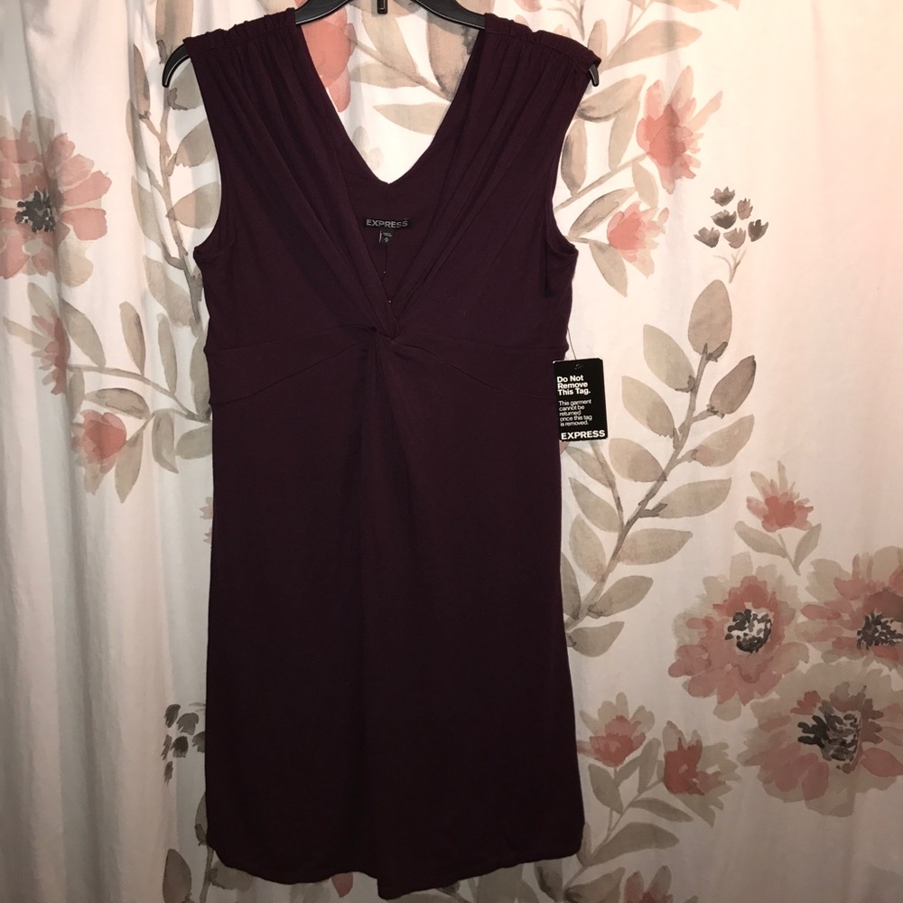 Express Dress Size M NWT