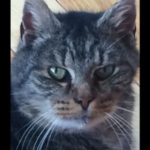 Meet your Posher, Jessy