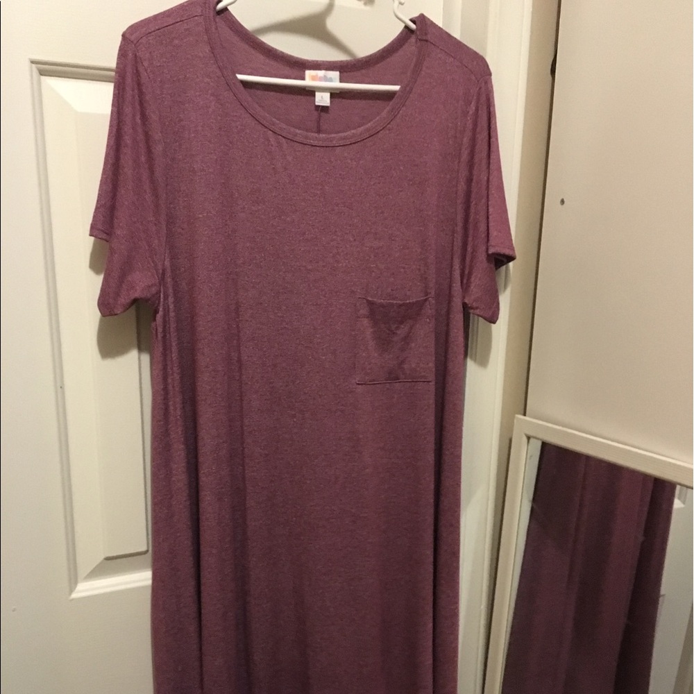 Lularoe Carly Large - Pink Legging material