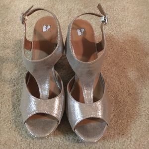 BP Silver Wedges
