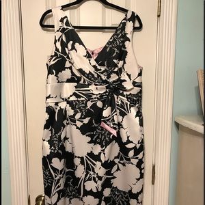DressBarn Collection Dress