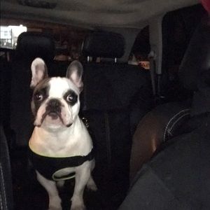 Meet your Posher, Adam