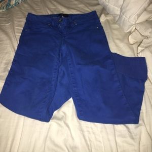 Royal blue Bebe jeans