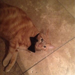 Meet your Posher, Francesca