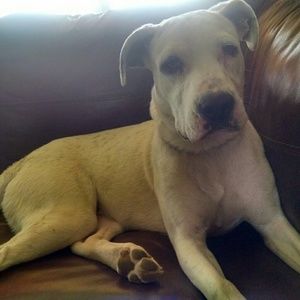 Meet your Posher, Valerie