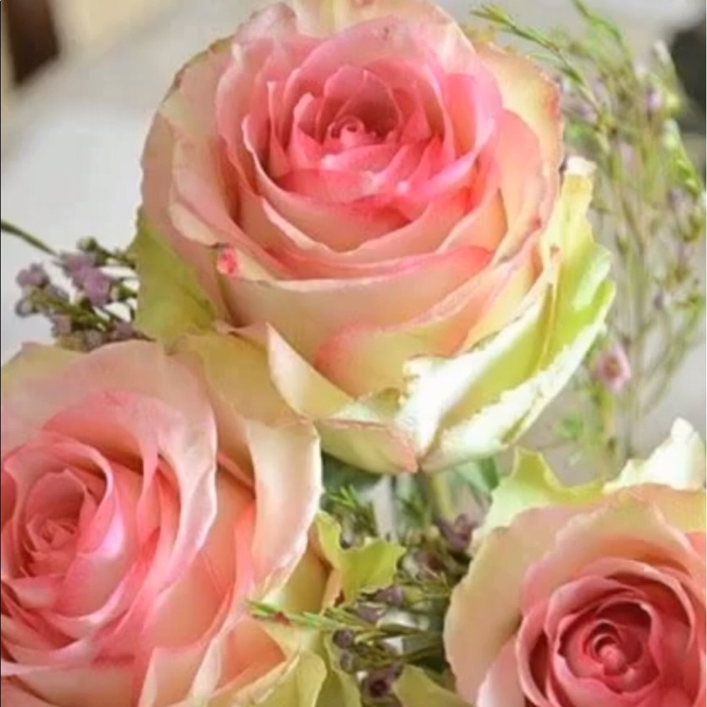 Meet your Posher, Jeniffer