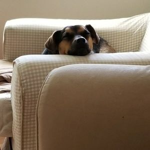 Meet your Posher, Alison