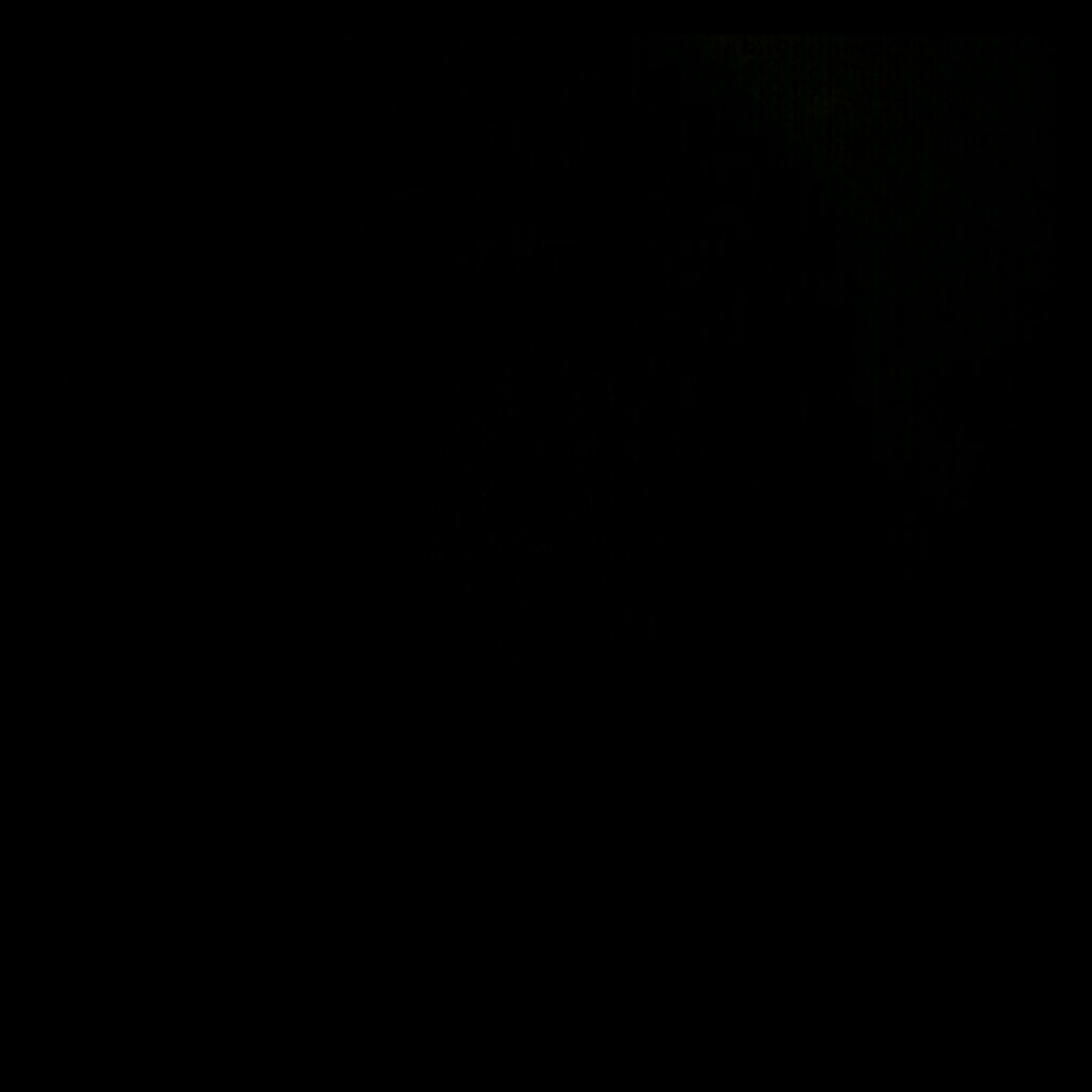 Meet your Posher, Elise