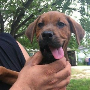 Meet your Posher, Angel