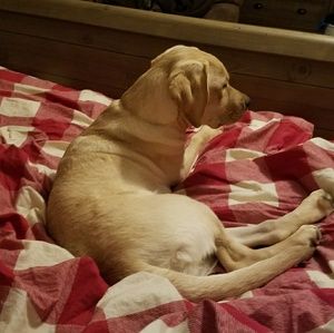 Meet your Posher, Chris