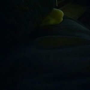 Meet your Posher, Eli