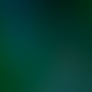 Meet your Posher, Noah