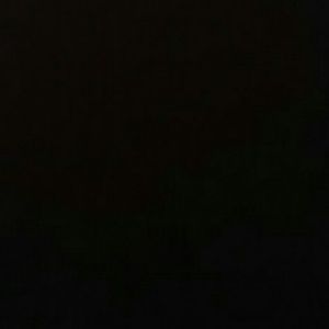 Meet your Posher, Zachary