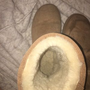 Size 6 Short Chestnut UGG Australia boots