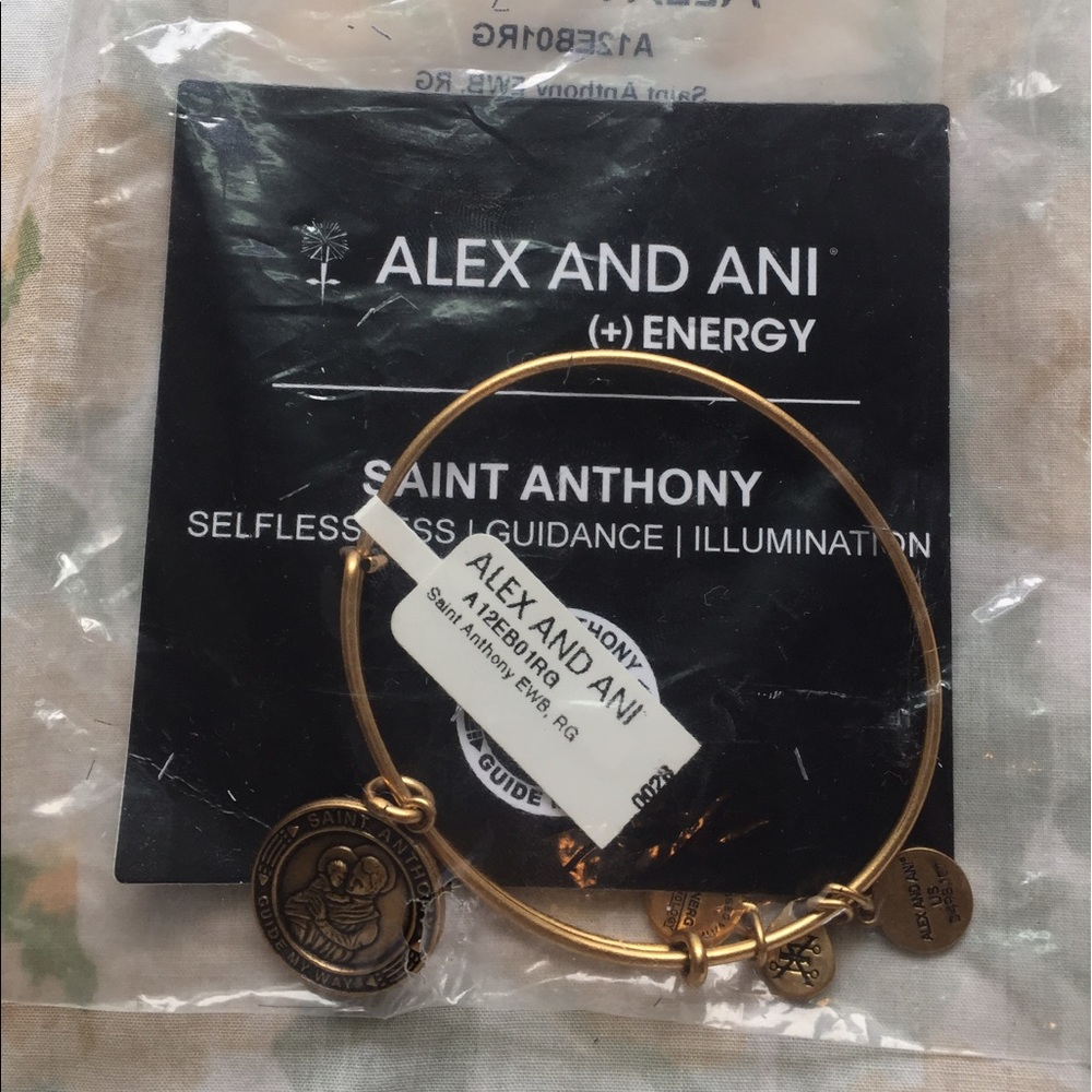 brand new alex and ani!