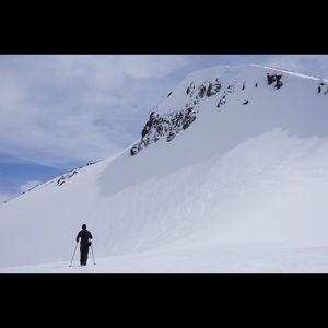 Meet your Posher, Bobby