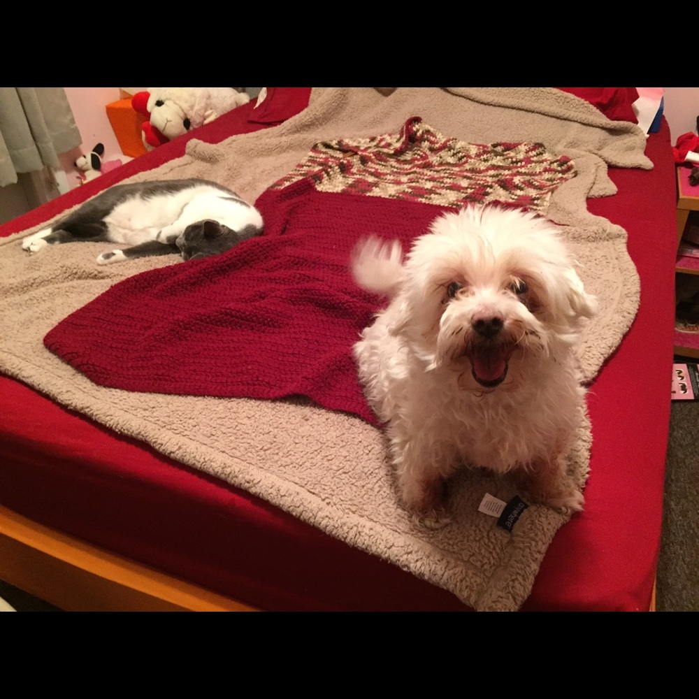 Meet your Posher, Michelle