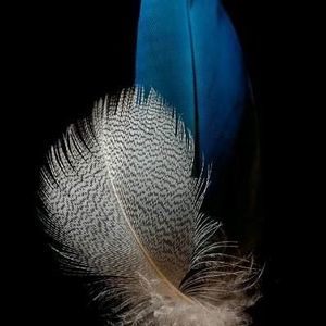 Meet your Posher, Terri