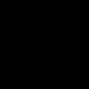 Meet your Posher, Luisa