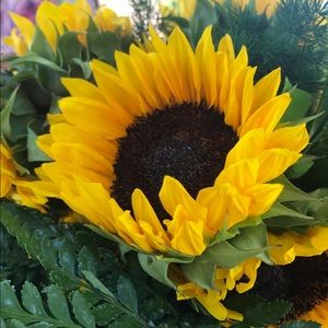 Meet your Posher, Jocelyn