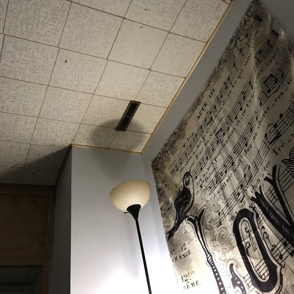 Meet your Posher, Kayla - Picture 1 of 1