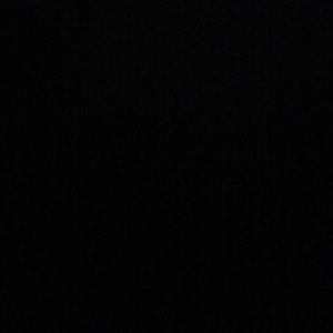 Meet your Posher, Curtis