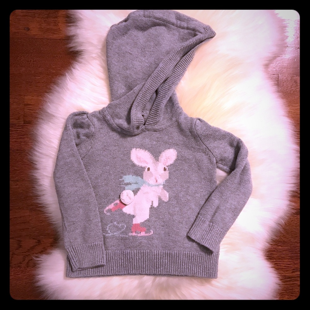 BabyGAP hooded sweater