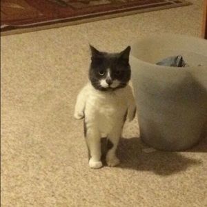 Meet your Posher, Alejandro