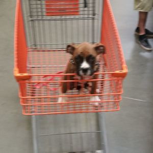 Meet your Posher, Mark