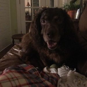 Meet your Posher, Joseph