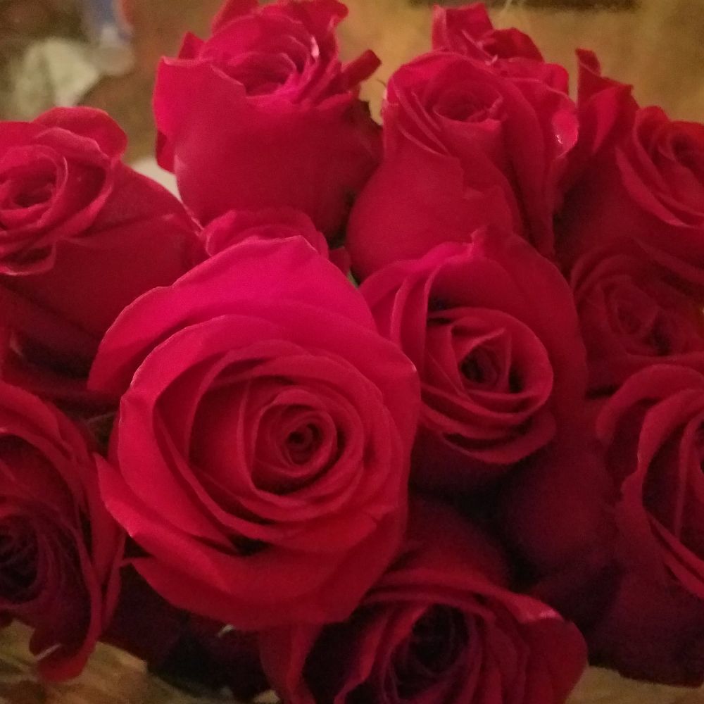 Meet your Posher, Maria