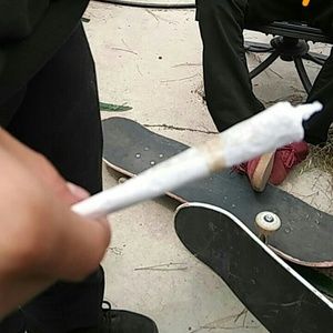 Meet your Posher, Shane