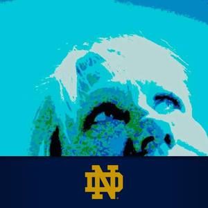 Meet your Posher, Patty