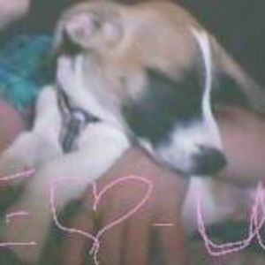 Meet your Posher, Saylor