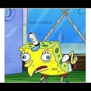 Meet your Posher, Judith