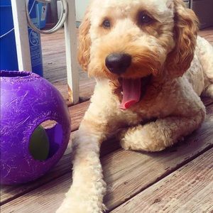 Meet your Posher, Michele