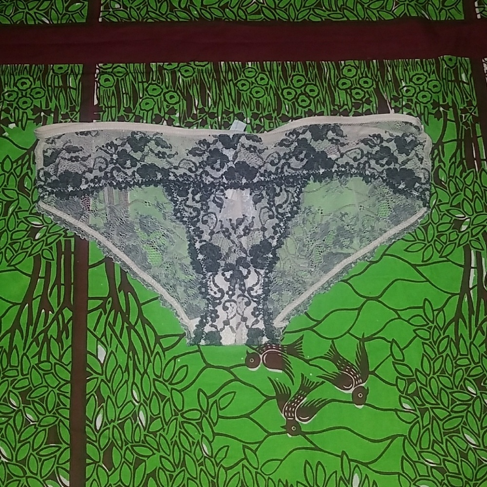 Creme & Grey /Peach & Purple Lush Lace Panties