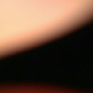 Meet your Posher, Cynthia