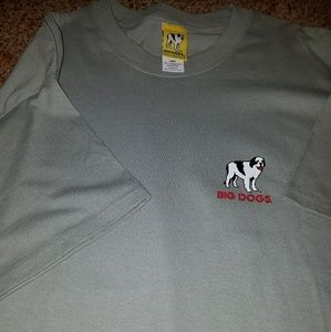 Brand New Men's Big Dogs light green tee shirt M