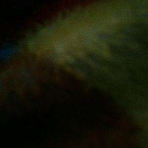 Meet your Posher, Raven