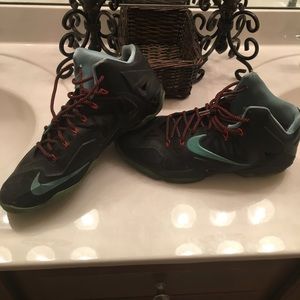 Black pair of Lebrons