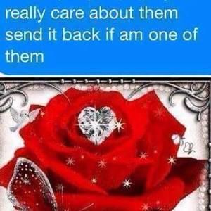 Meet your Posher, Cherry