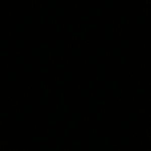 Meet your Posher, Danashia