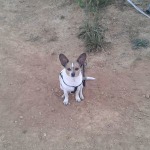 Meet your Posher, Lesley