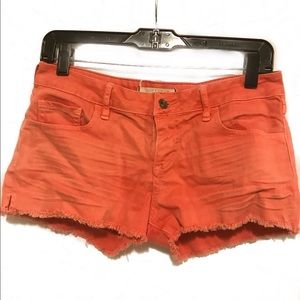 Distressed Denim Shorts
