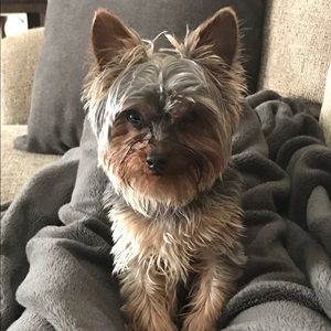 Meet your Posher, Lanny