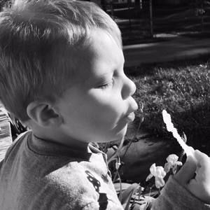 Meet your Posher, Crystal