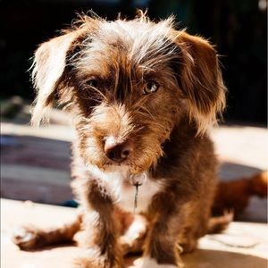 Meet your Posher, Kaitlin