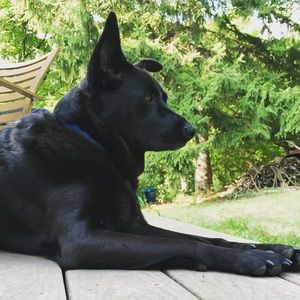 Meet your Posher, Tom