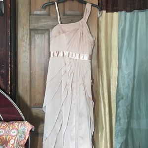 ADRIANNA PALELL NUDE DRESS